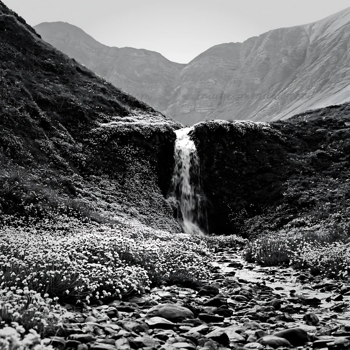 A waterfall flows down rocky terrain surrounded by blooming flowers. The scene is set in the mountains during daylight hours, showcasing the natural beauty of t
