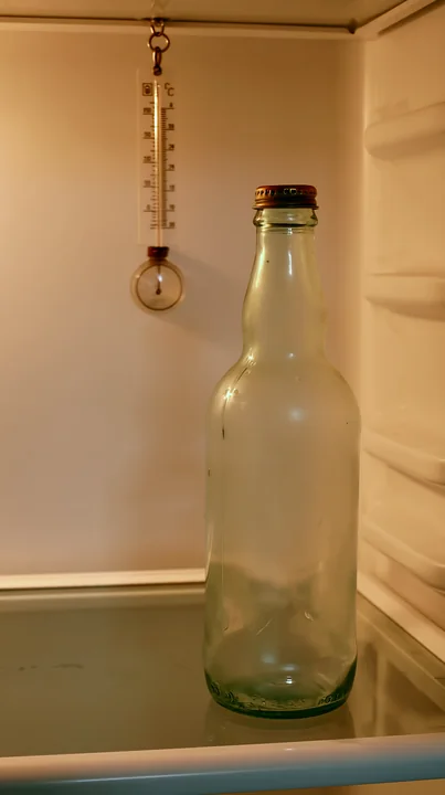 An empty bottle sits on a shelf inside a refrigerator.