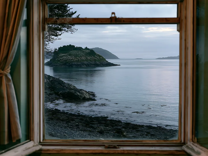 An island with flowers in a calm bay viewed from a window.