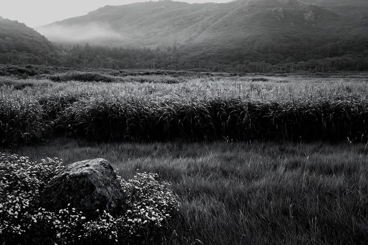The view shows a meadow in Aomori with a large boulder in the foreground and tall grasses. Mist covers the distant mountains, suggesting early morning or late e