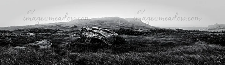 This meadow in Aomori features a large boulder surrounded by grass and low vegetation. The area is misty, creating a unique atmosphere in this natural setting.