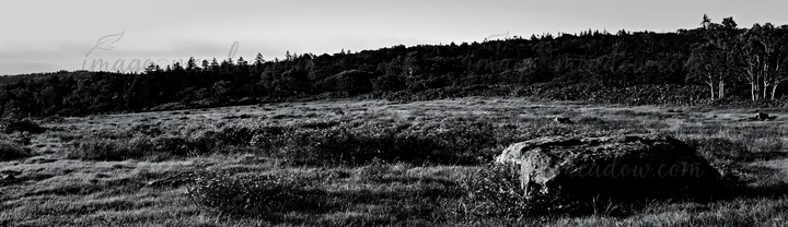The scene shows a meadow in Aomori with grasses and flowers, featuring a large boulder surrounded by green trees under clear skies. Presented as a premium high-