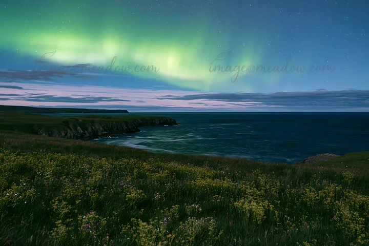 Bright aurora lights dance across the night sky above a meadow near the coastline. The ocean reflects the glow, while grass and flowers cover the foreground. A