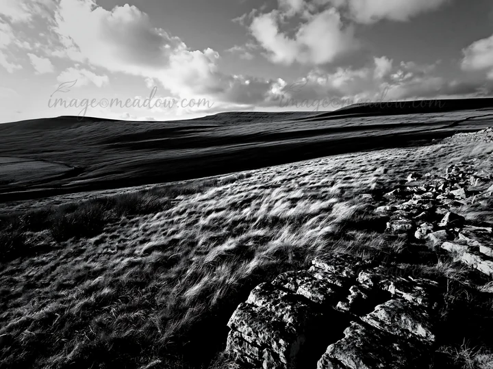 The scene shows an autumn meadow with rocky features in the foreground, set in a hilly area. Clouds fill the sky as shadows cover the landscape, depicting a cal