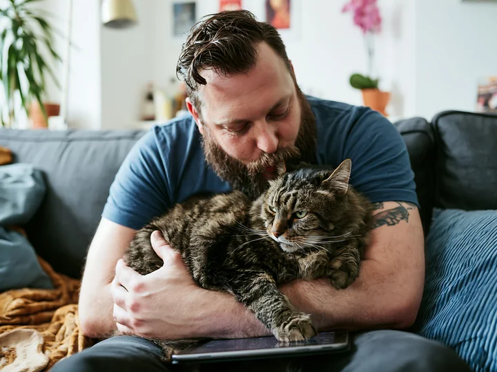 Bearded man kisses a tabby cat he is holding on a sofa in a bright living room.