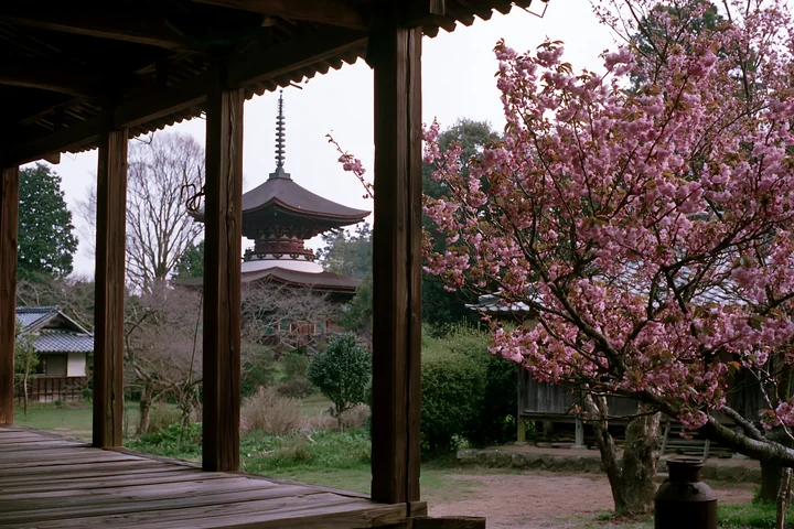 Cherry blossom branches against a Japanese pagoda showcase the beauty of spring.