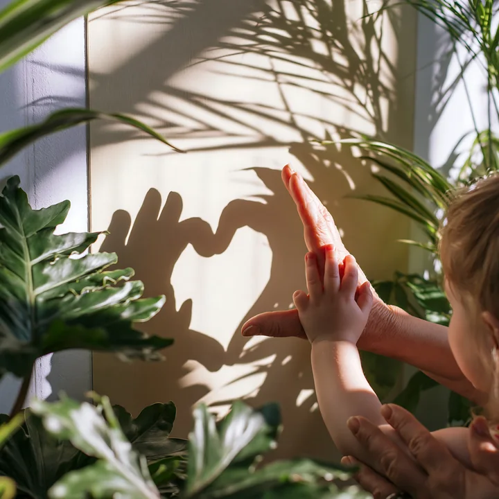 Child and adult hands create a heart-shaped shadow on a sunlit wall among indoor plants.