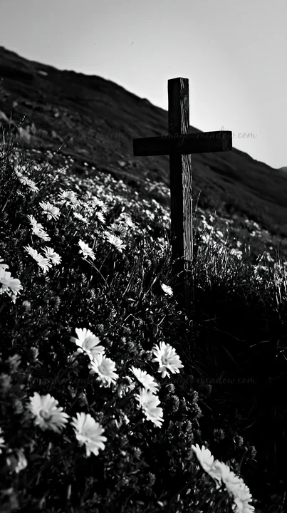 A wooden cross stands in a secluded mountain meadow surrounded by flowers. The setting captures the natural landscape and the presence of faith. The light creat