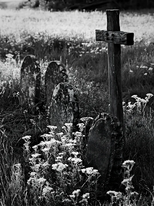 A cross stands among weathered gravestones in a meadow. Wildflowers grow around the stones as the sun rises on the horizon, casting soft light over the scene.
