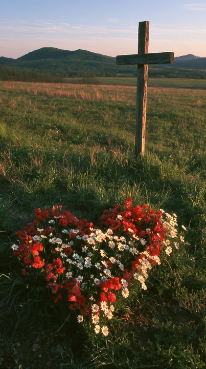 A wooden cross stands in a grassy meadow at sunrise. Surrounding the cross is a heart-shaped arrangement of red and white flowers. The scene captures the early