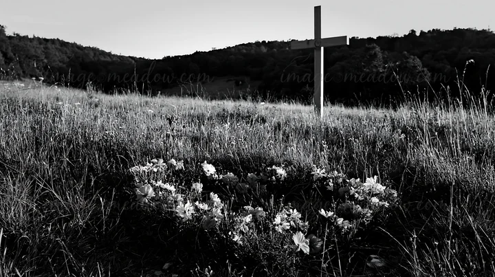 A wooden cross stands in a grassy meadow surrounded by wildflowers. The scene takes place in a natural setting during daylight. Hills are visible in the backgro