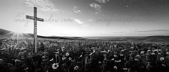 A cross stands in a meadow filled with flowers as light rays shine through the sky. The scene captures a moment of daylight in an open field surrounded by hills