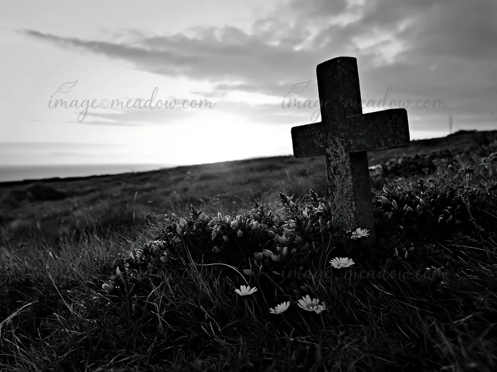 A cross stands in a meadow as the sun rises in the background. The ground is dotted with grass and small flowers, creating a simple scene filled with natural el