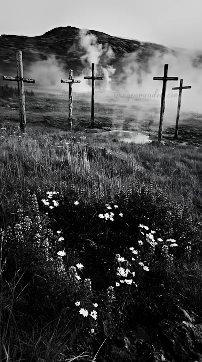 Crosses stand in a geothermal spring meadow with steam rising from the ground. Wildflowers grow in the foreground, creating a natural setting in a mountainous a