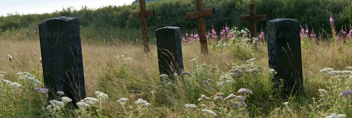 Three Christian crosses stand in a mineral spring meadow surrounded by tall grass and wildflowers. The area shows natural growth and a sense of rural life, typi