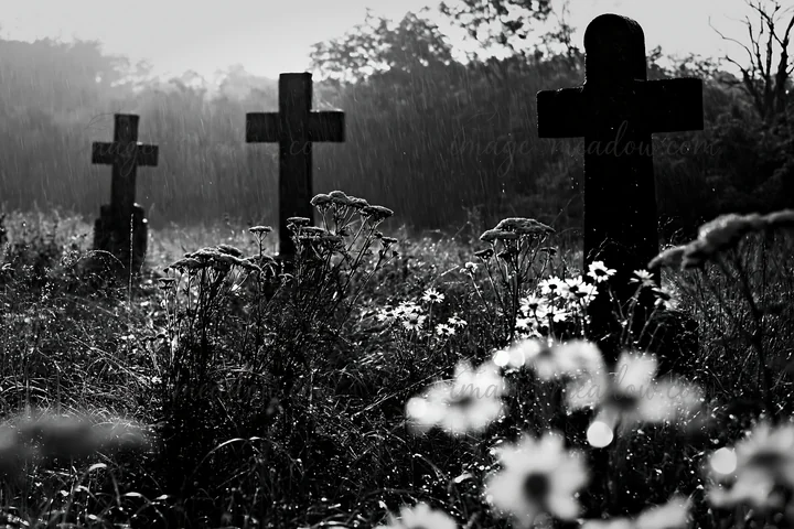 Christian crosses stand in a meadow as rain falls, surrounded by wildflowers. The scene captures the atmosphere of a quiet moment in nature. The wet ground and