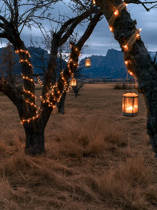 A meadow in the Dolomites shows apple trees decorated with garlands. Soft light from lanterns hangs from the branches. The ground is covered with dried grass, c