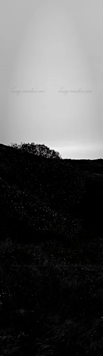 Christmas lights illuminate the area next to a cave in a meadow. The scene takes place during dusk, creating a contrast between the lights and the dark surround
