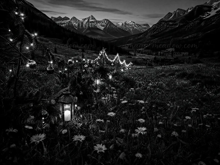 String lights illuminate a mountain valley meadow during dusk. The area features flowers and a lantern among the scenery. Snow-capped mountains rise in the back
