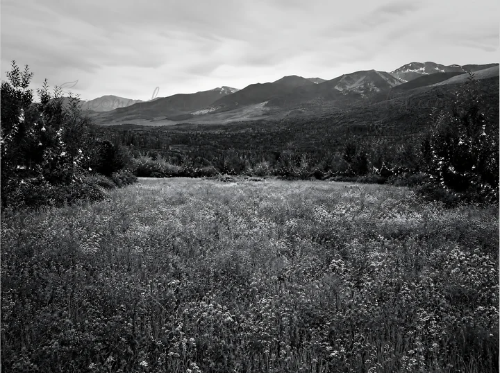 String lights are set up in a mountain valley meadow. The scene shows a grassy area surrounded by mountains under a cloudy sky. The lights add a festive touch t