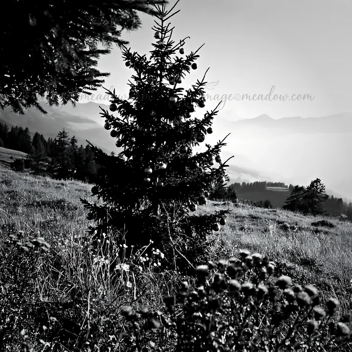 A Christmas tree decorated with baubles stands in a mountain meadow. The background shows distant mountains and a misty atmosphere. The scene captures the essen