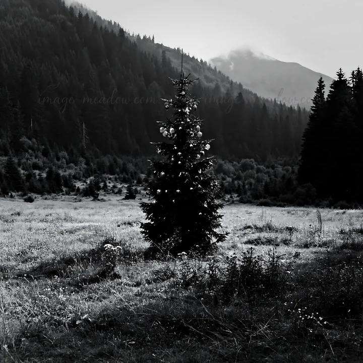 A Christmas tree stands alone in a mountain meadow, decorated with baubles. The surrounding landscape includes trees and hills, creating a natural setting. The