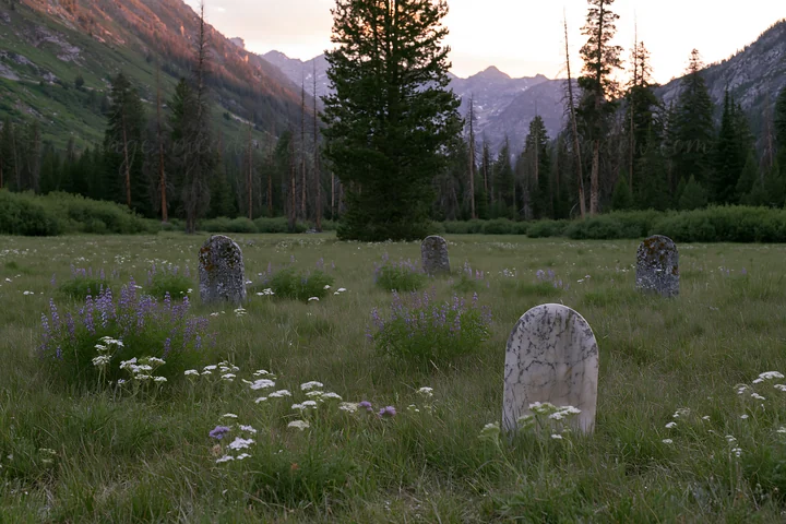 A Christmas tree stands in a deep mountain valley meadow surrounded by wildflowers and rocks. The scene captures the beauty of nature at dusk, with mountains in