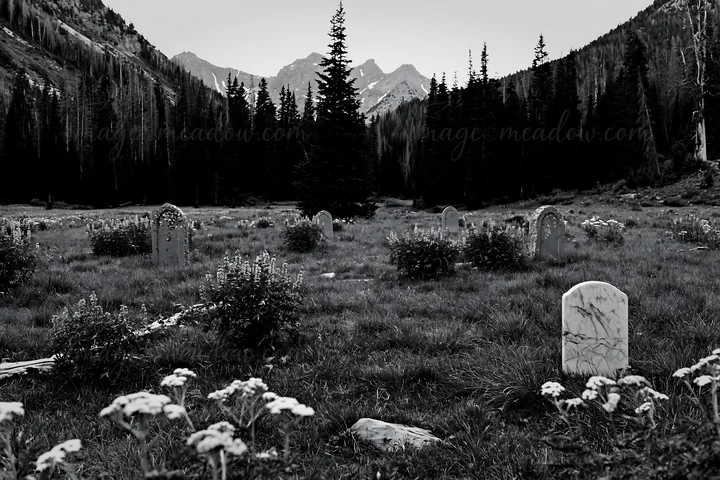 A Christmas tree stands in a meadow surrounded by mountains. The area features gravestones scattered across the grass, with flowers growing nearby, capturing a