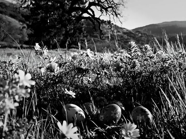 A Christmas tree stands in a wide meadow surrounded by flowers. The tree is set against a bright sky and grassy landscape during daylight.