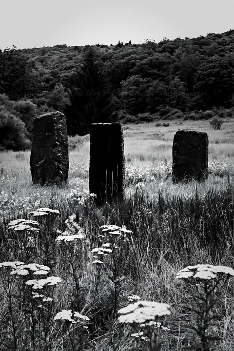 A Christmas tree stands near a meadow stream surrounded by grass and wildflowers. The setting features large stone pillars aligned in the landscape.