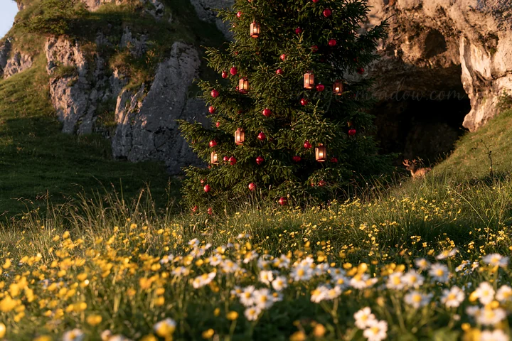 A Christmas tree stands in a meadow adorned with lanterns and red ornaments. Flowers bloom around the base as a cave is visible in the background. The scene cap