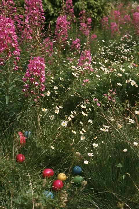 A Christmas tree adorned with lights stands beside a stream in a meadow filled with flowers. The scene captures the spirit of the holiday season in a natural se
