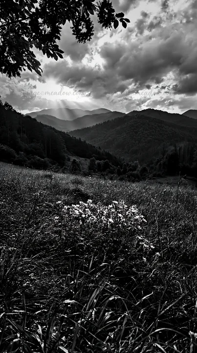 A meadow features Christmas wreaths surrounded by grass and flowers with mountains in the background. Dramatic clouds fill the sky as rays of sunlight shine thr