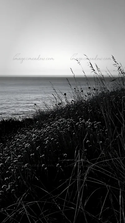 A clifftop meadow features wildflowers and tall grass overlooking the ocean at sunset. The sun sets behind the horizon, casting a soft light over the landscape.