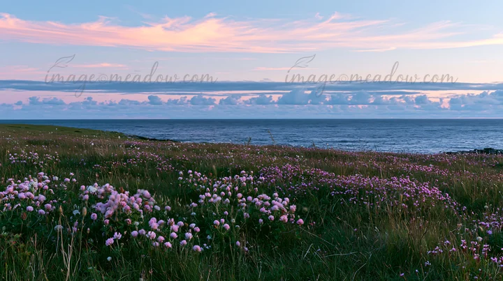 A clifftop meadow features blooming flowers and an expansive ocean view under a colorful sunset sky. The landscape showcases lush greenery and soft pastel cloud