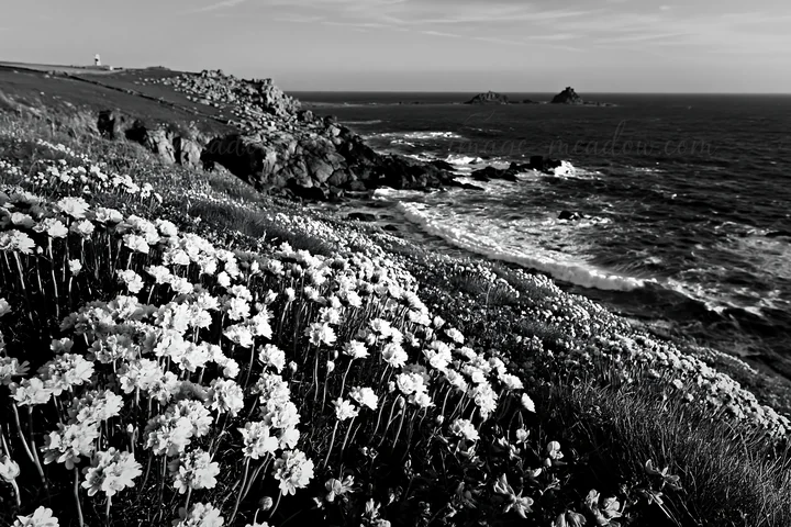 A meadow filled with flowers sits atop a cliff, providing a view of the rocky coastline and crashing waves below. This scene captures the natural beauty of the