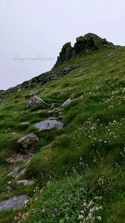 A rocky hill rises above a coastal meadow filled with green grass and small white flowers. The scene captures the natural terrain and rugged landscape near the
