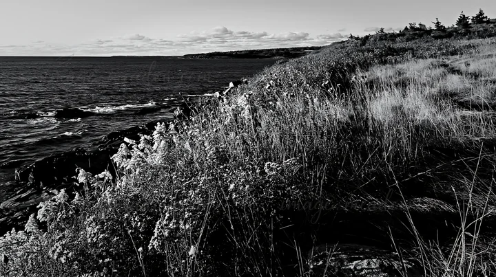 Colorful flowers edge the rocky coastal meadow cliffs as the sun sets over the ocean, creating a warm glow. The scenery includes grass and distant shoreline und
