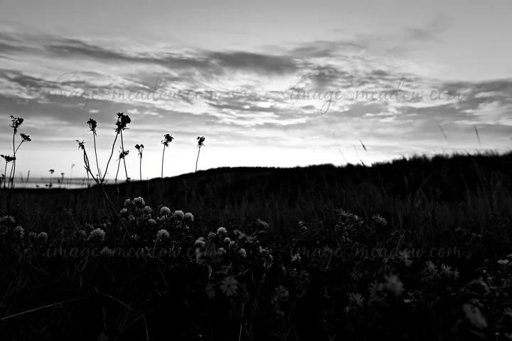 A clover meadow stretches across the foreground with tall grass and flowers. The sky is filled with clouds and the sun sets behind the distant hills. The scene