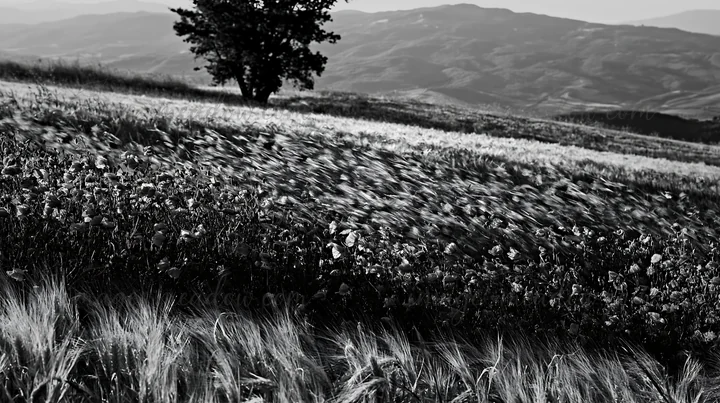 A meadow filled with colorful poppies sways in the wind with rolling hills in the background. A lone tree stands on the horizon under a clear sky. The scene cap