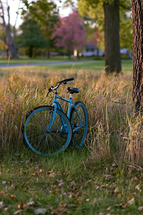 Colorful spring trees along a country road frame a blue bicycle resting against a tree.