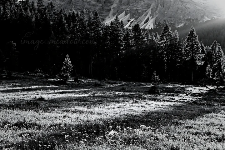 A meadow features patches of wildflowers and tall grass under crepuscular rays. Sunlight filters through trees as the mountains rise in the distance. Presented