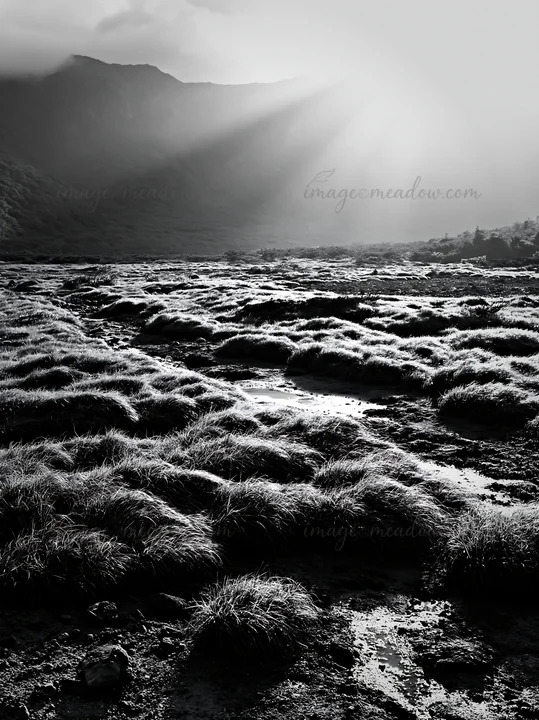 Light rays break through clouds over the Daisetsuzan alpine meadow. The landscape features wet grass and rocky terrain, with mountain silhouettes in the backgro
