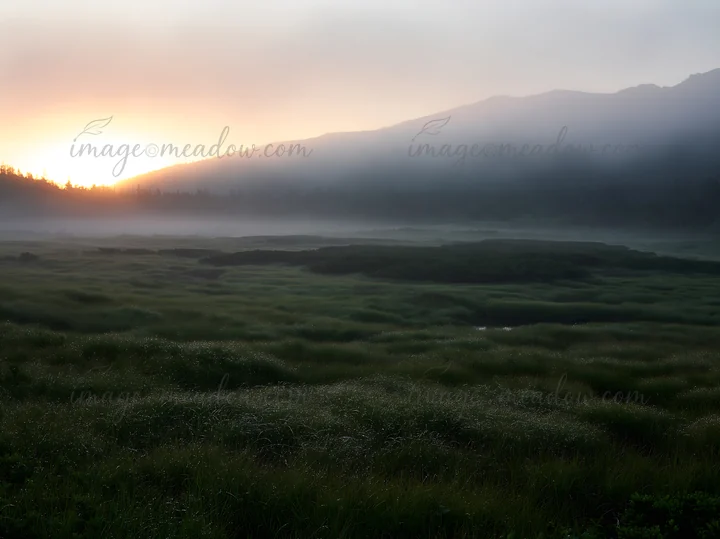Morning light filters through mist over the Daisetsuzan alpine meadow. The grass is illuminated as the sun rises behind the mountains, creating a natural scene