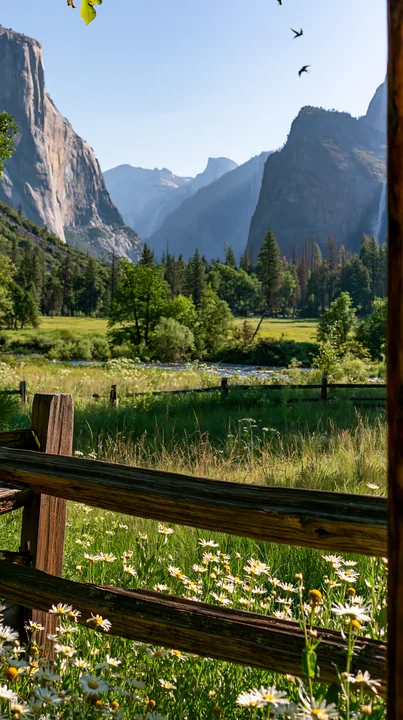 Daisy-filled meadow and rustic wooden railing frame a stream, forest, and towering mountain cliffs beneath blue sky.