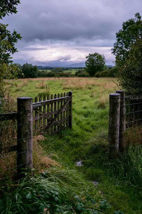 Dark storm clouds loom over a wide meadow, where tall grass sways gently.