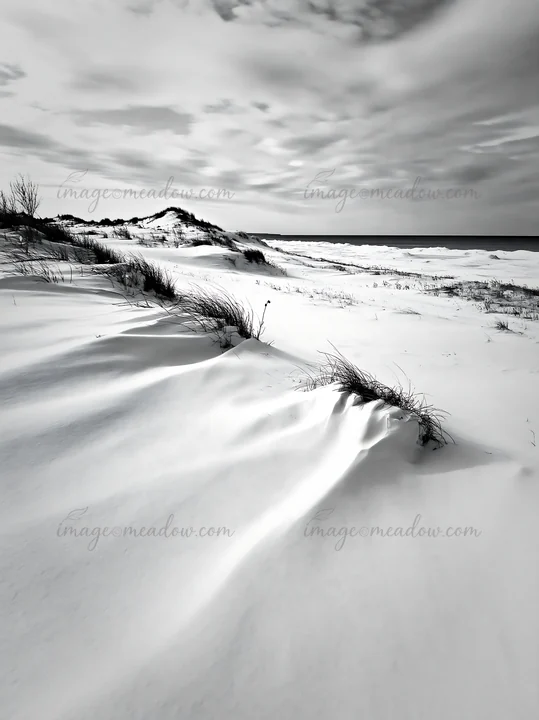 Dune meadow with snow spreads across the landscape along the coastline. Sparse grass appears through the white snow. Overcast sky adds a gray tone to the scene,