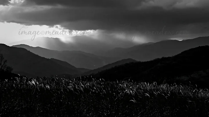 A twilight scene in Ehime shows a meadow filled with dry seedheads. Mountains rise in the background under a cloudy sky. Light breaks through the clouds, creati
