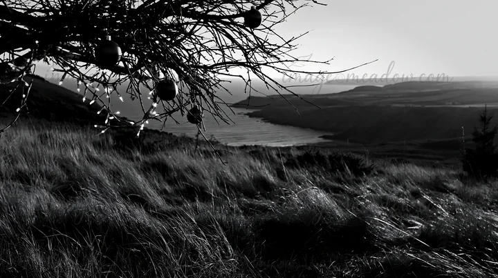A meadow stretches out towards the coast in autumn, where a tree branches with colorful baubles. The sky fades into the horizon above the rolling hills and wate