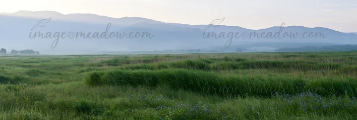 Morning light reveals a wide meadow in Hokkaido, highlighting grass and dew. Shadows from distant mountains create a soft backdrop for the vibrant green landsca
